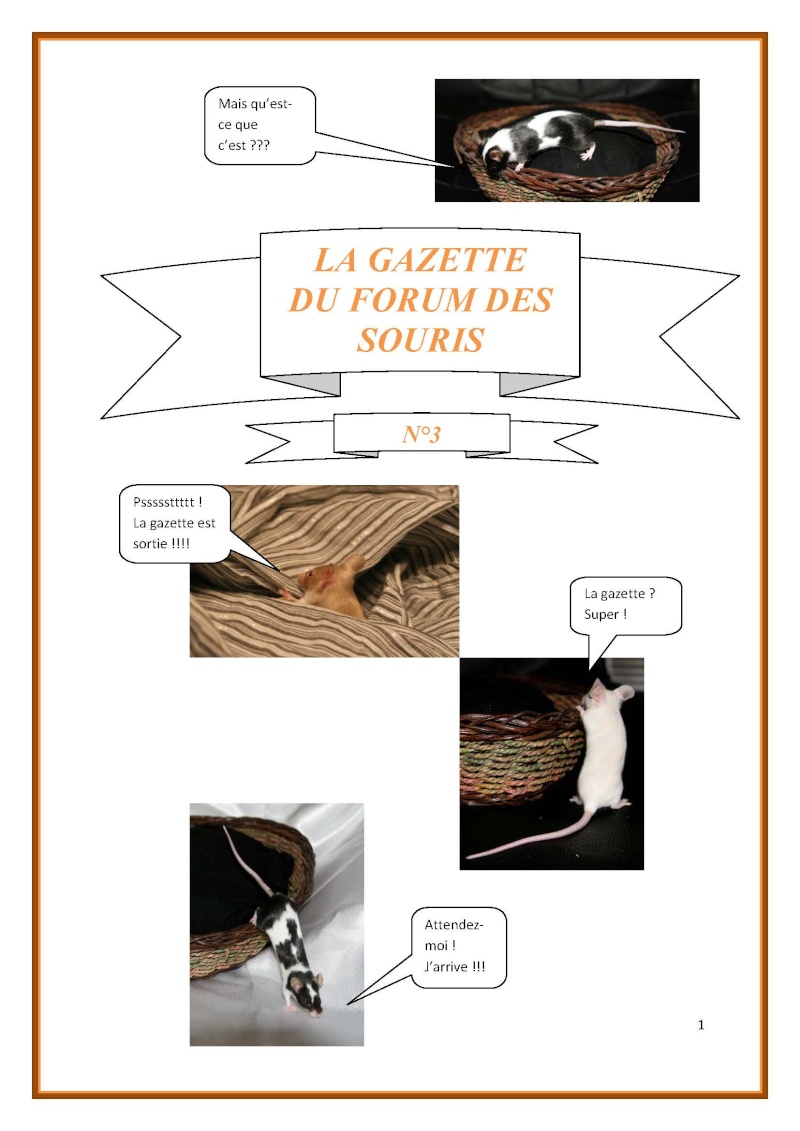  La Gazette du Forum des Souris - n°3 La_gaz10