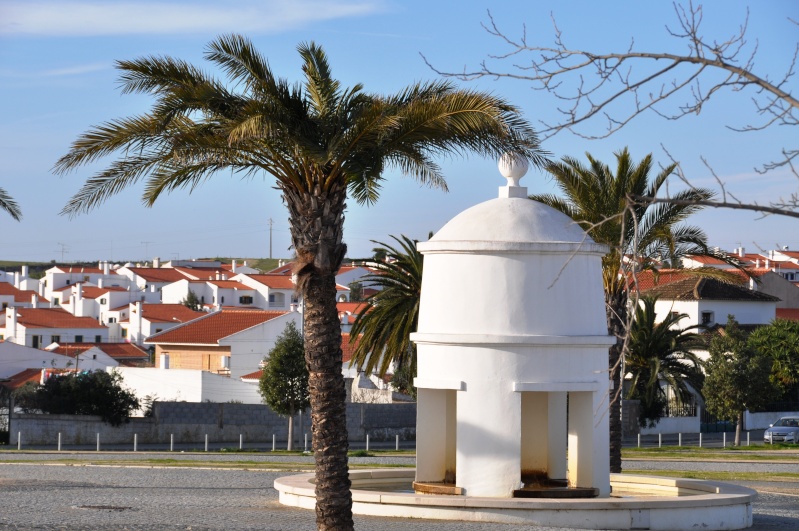 Al-Andalus (Andalousie - Algarve - Alentejo),  faune,  flore, paysages, maisons  et jardins fleuris - Page 4 04011