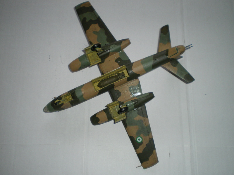  [Trumpeter] Ilyushin IL-28 "Beagle"/Nigerian Air Force 1969 Imgp0089