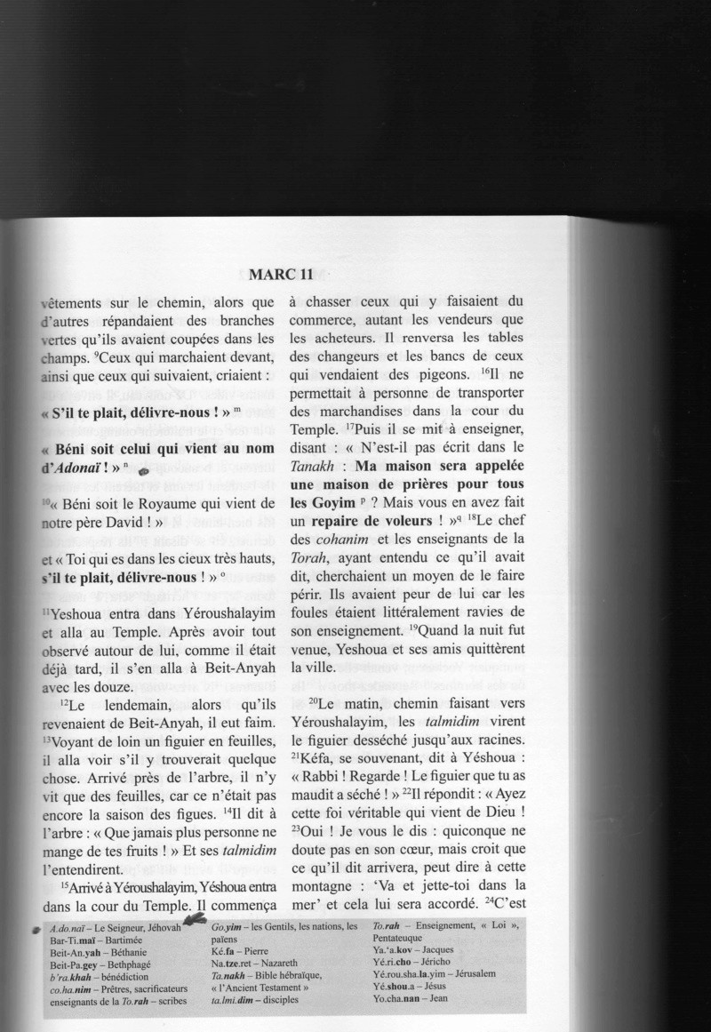 René Bourreau "Lumière de La Bible (Traduction officielle de la Liturgie) - Page 2 Img65911