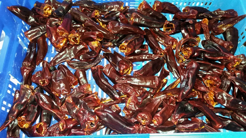 Poivron - piment - Page 7 20170210