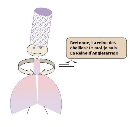 Concours permanent : des smileys pour l'auberge - Page 17 Breton10