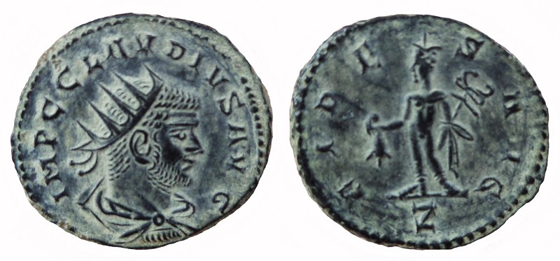 Berkanides Bi24210