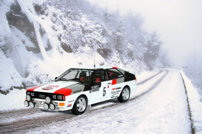 audi quattro A1 groupe4  -  1981 Audi-q10