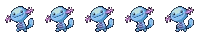 Axolotl adulte Axolotl adulte