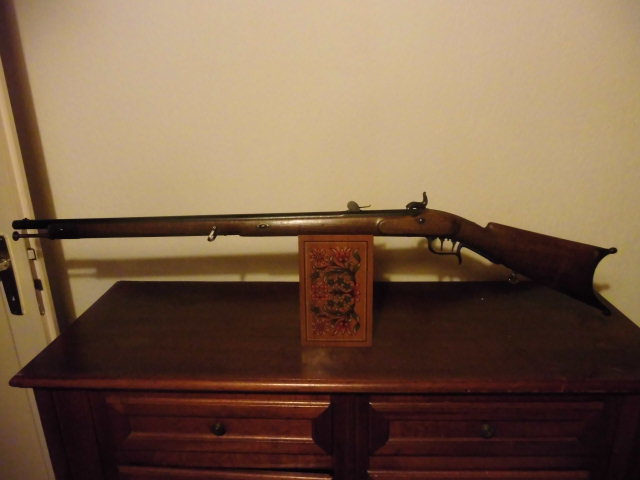 Carabine Fédérale 1851 Carabi50