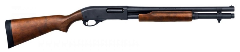 shot gun Rem-8713