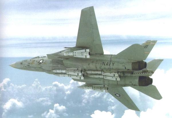 Grumman F-14A "Tomcat" - 1/72 - Hobby Boss - Page 3 Aim-5410