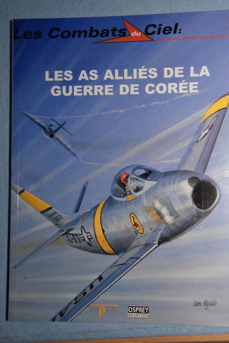 N.A. F-86E "Sabre" - 1/72 - Academy [M.E.C] - Page 2 Dsc_0233