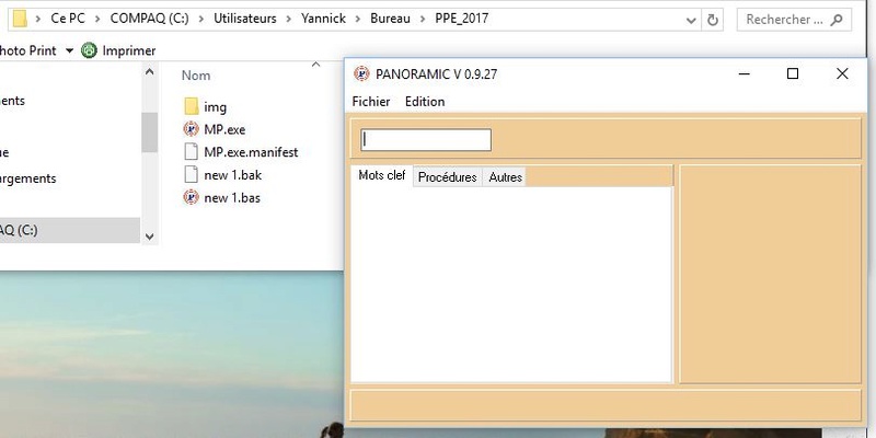 Panoramic et Windows Captur33