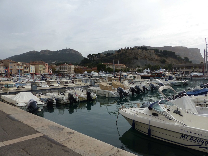 Cassis             P1070312