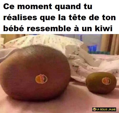 humour - Page 29 14652010