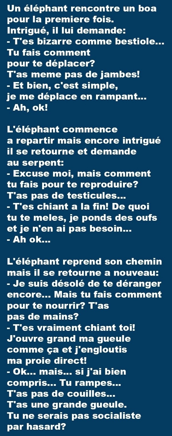 humour - Page 12 535210