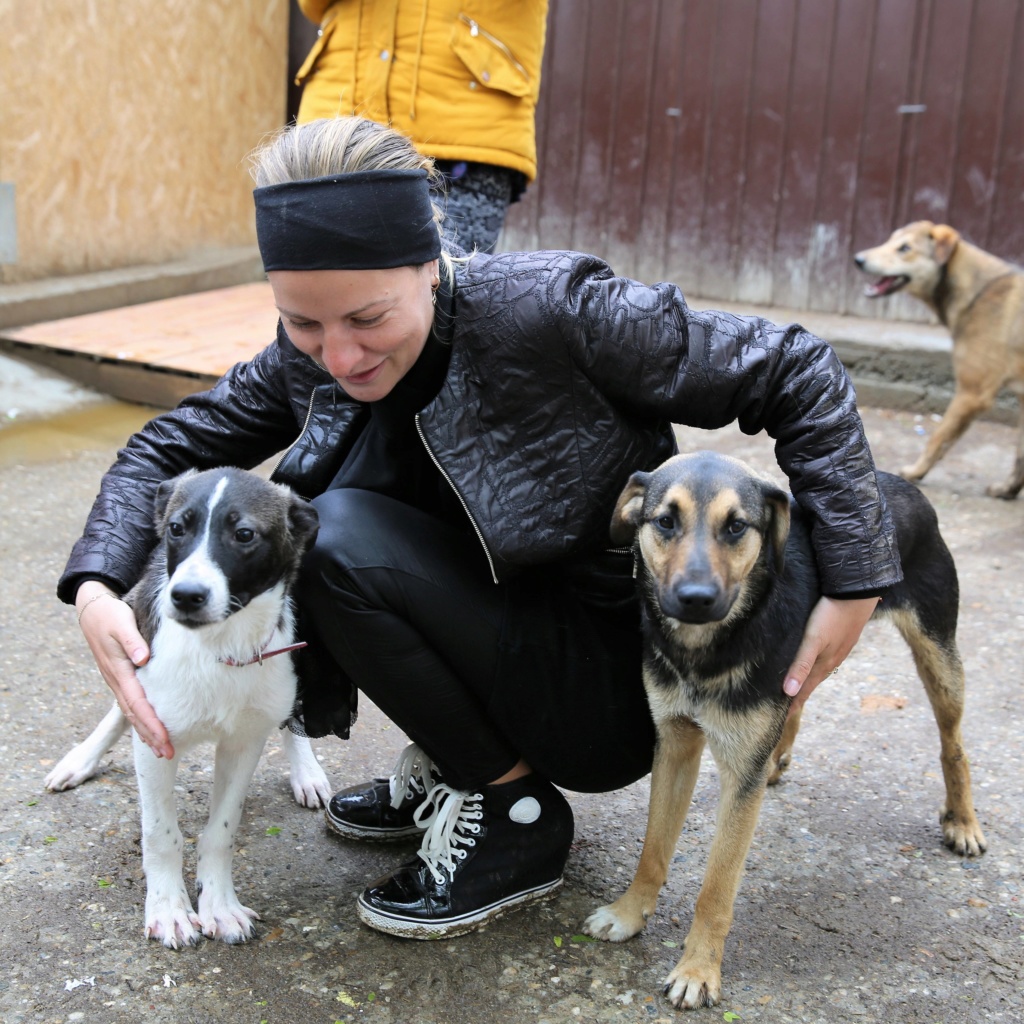 Rufus, petit mâle né en novembre 2018 place et adopte a sans famille Rufus410