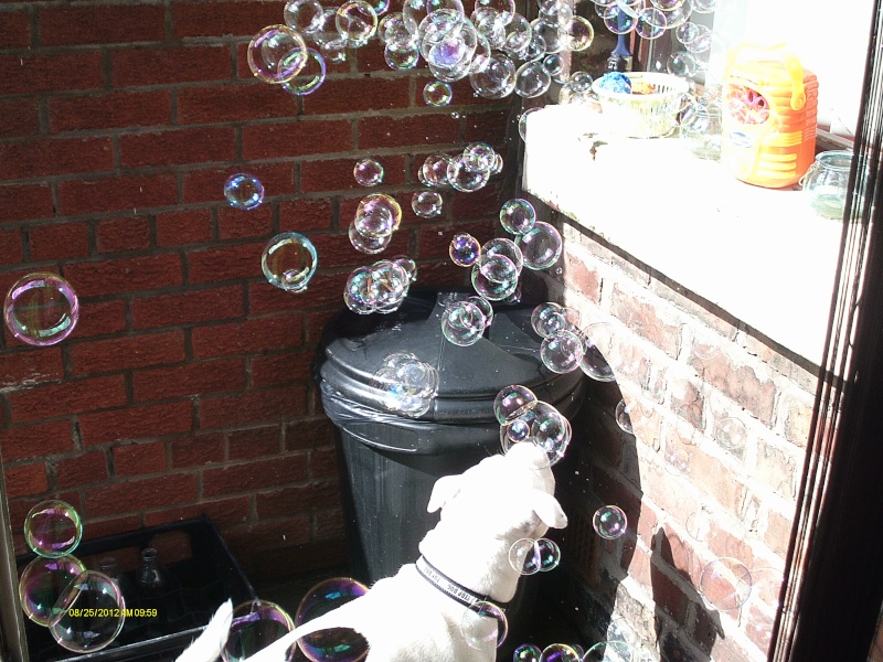 jack and his new bubble machine Imag0014