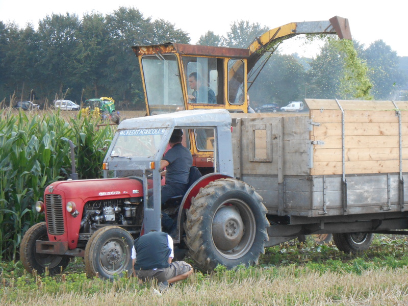 50 Chaulieu - Fête de l'ensilage - Page 3 Dscn7445