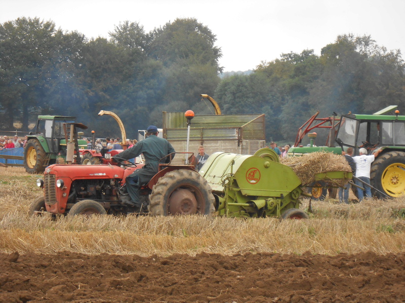 50 Chaulieu - Fête de l'ensilage - Page 3 Dscn7471