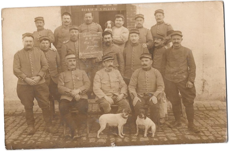 infirmerie veterinaire 21em chasseur limoges 1914/1915 Veteri11