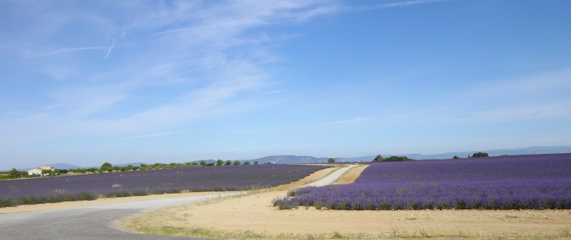 Giro Via della Lavanda in Provenza (Francia) Imgp1218