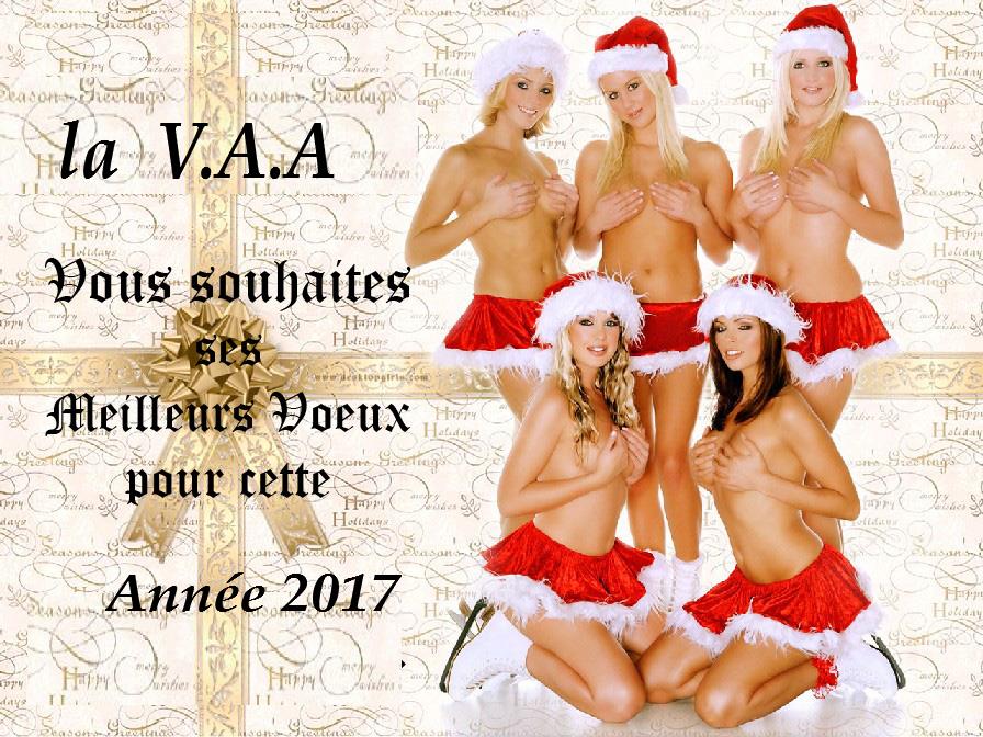 bonne année 2017 les coupains  Bonne_11