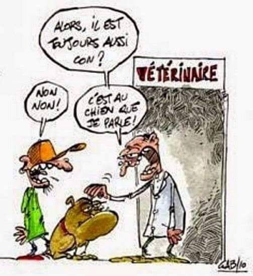 HUMOUR EN VRAC - Page 13 Image128