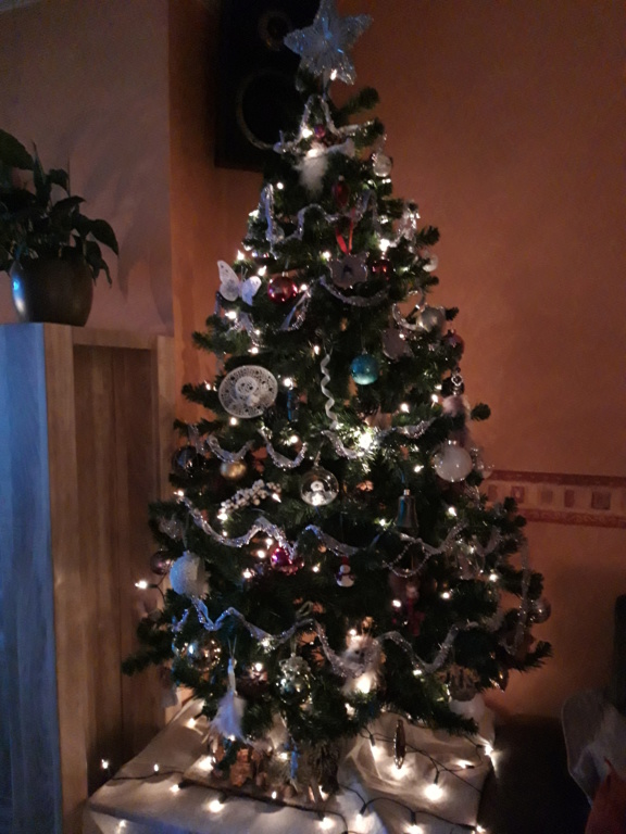 Mon sapin 2019 20191214