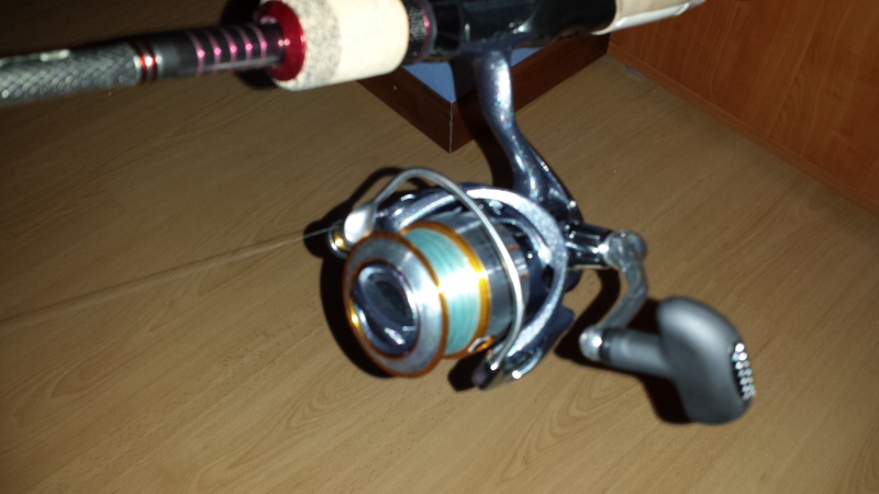 VENDS SPINNING DAIWA THEORY 2508! 20130811