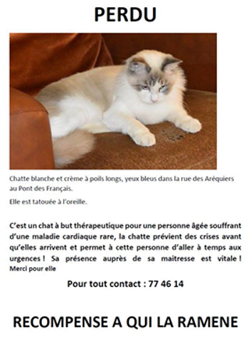 PERDUE chatte blanche et crème yeux bleus au Pont des Français le 11/11/2016 20161136