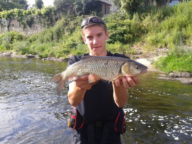 études des poissons du Furan 2012-012