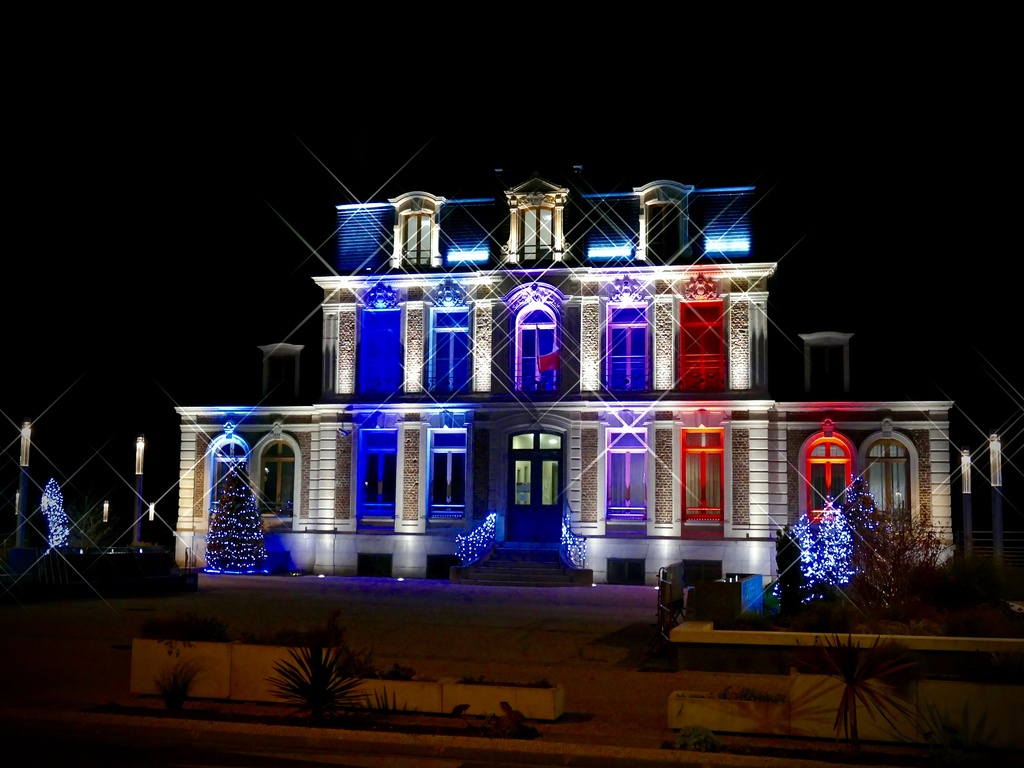 Hors concours de décembre 2016 "FEERIE" P1080310