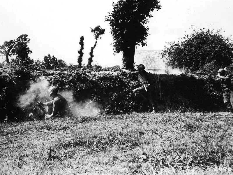 La guerre des Haies et le Hedgecutter.... Le taille Haie Normand ! 31_hai12