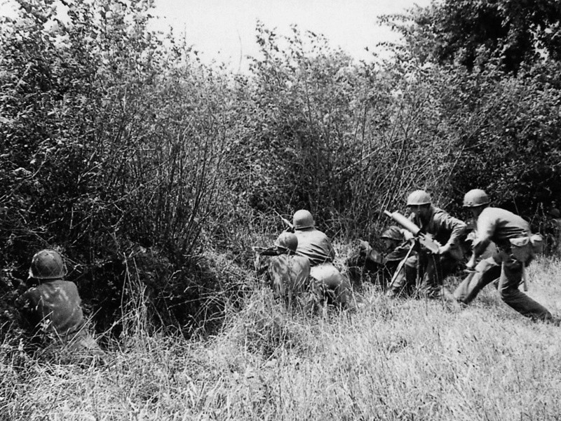 La guerre des Haies et le Hedgecutter.... Le taille Haie Normand ! 31_hai13