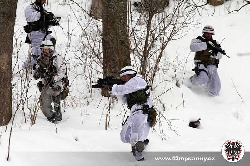 Armée tchèque/Czech Armed Forces - Page 9 1138