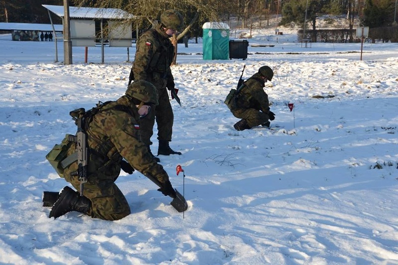 Les Forces Armées Polonaises/Polish Armed Forces - Page 21 3211