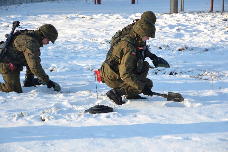 Les Forces Armées Polonaises/Polish Armed Forces - Page 21 4011