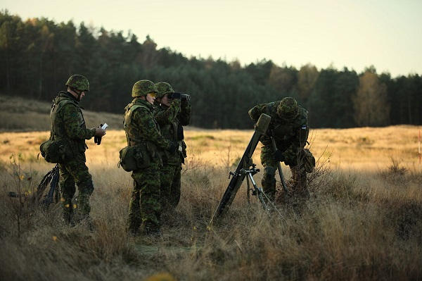 Armée Estonienne/Estonian Army - Page 3 7012