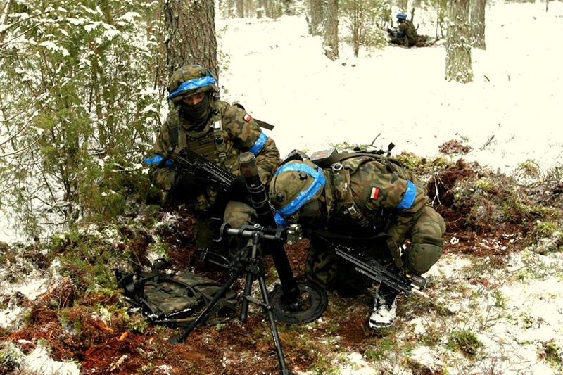 Les Forces Armées Polonaises/Polish Armed Forces - Page 21 9910