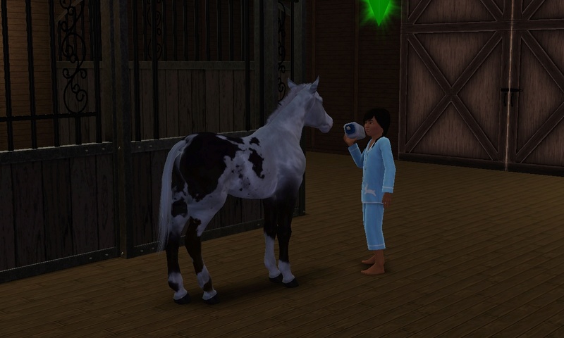 [Challenge] Teens and Horses "Sims 3" raconté par Vavaveau Screen30