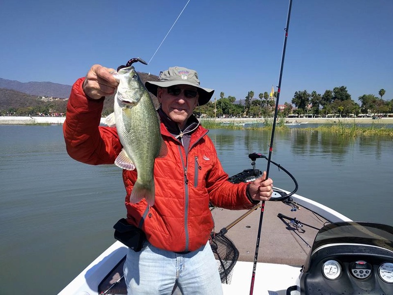 Black Bass in Lake Chapala 16265610