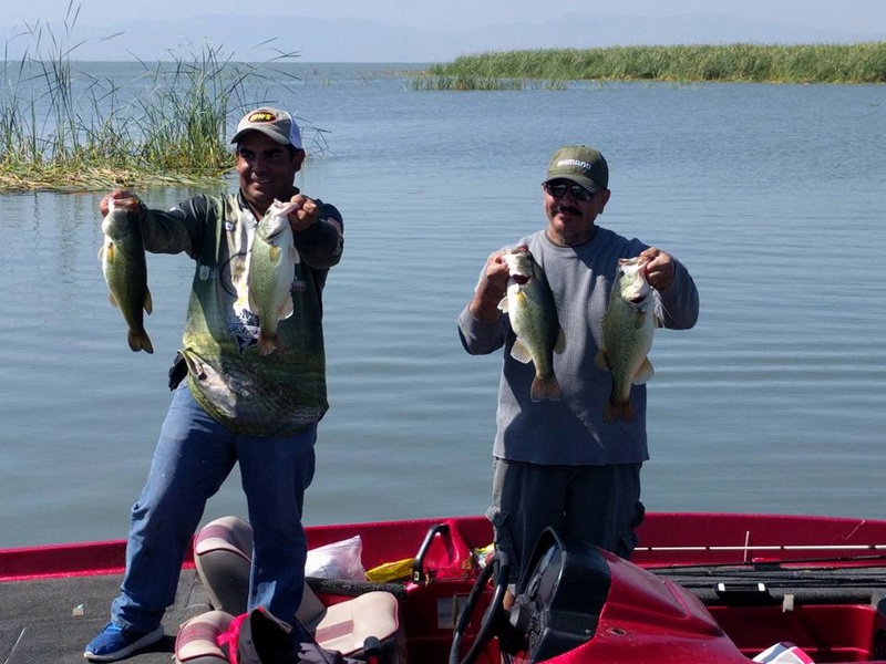 Black Bass in Lake Chapala 16266210