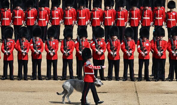 Those incredibly 'unreliable' DOGS............again! - Page 19 Royal-11