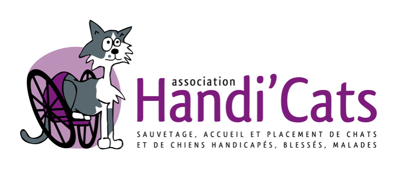 Association Handi'Cats