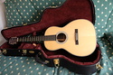 Vends Martin 00 custom , engelmann , palissandre indien . Dscf9111