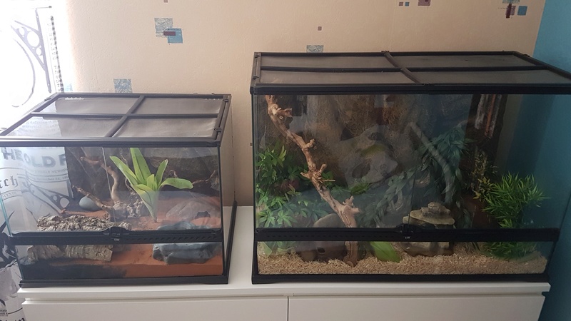 Mes 2 Terrariums 20161213