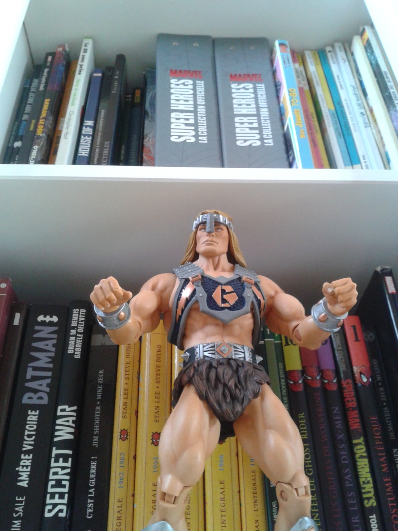 Collection n°436 : mallo, novembre 2012, customs t-700, venom, et dispo salon 20120865