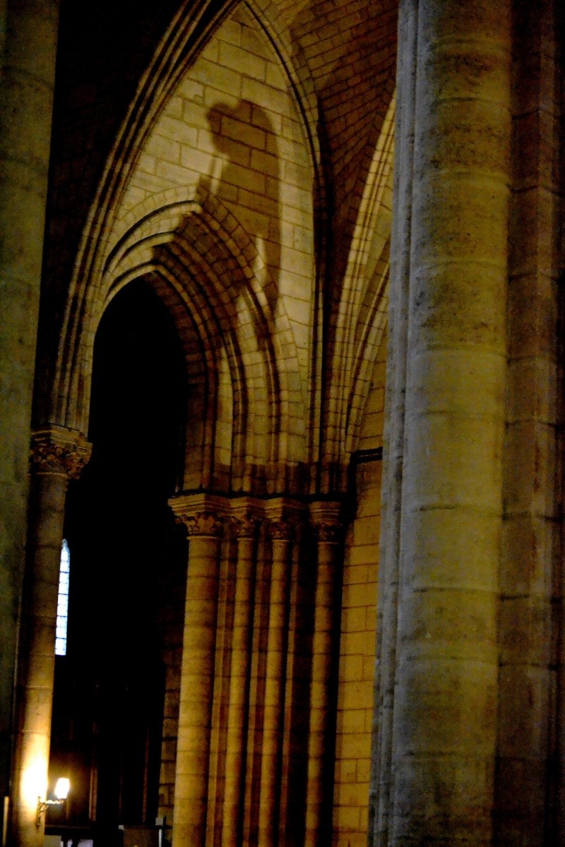 Notre Dame  Dsc_0312