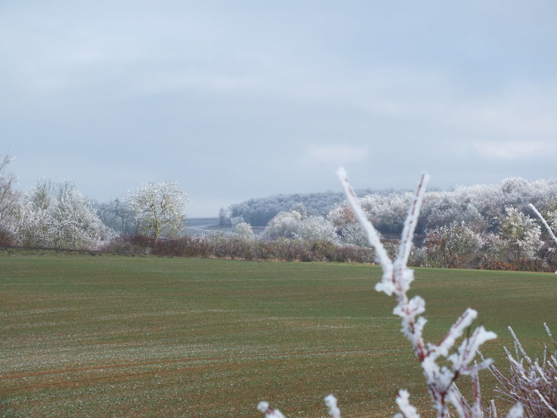 2016 12 31 le sancerrois Dscf0815