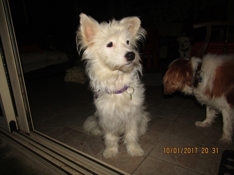 NOVA (Sora) Img_1211