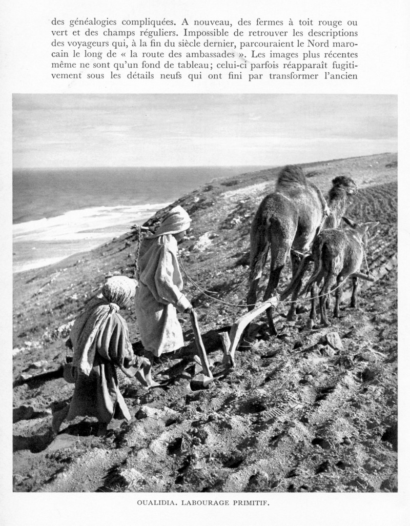 LE MAROC (J. - L. Miège) - Page 4 Maroc101