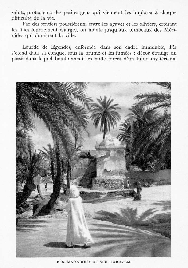 LE MAROC (J. - L. Miège) - Page 6 Maroc150